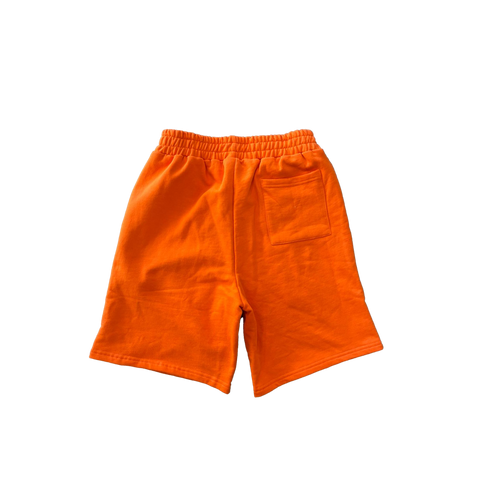 Heaven Arc Logo shorts (Orange/White) - Hover